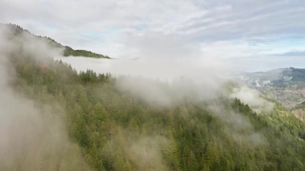 Hermoso paisaje de naturaleza rural virgen visto desde arriba — Vídeo de stock