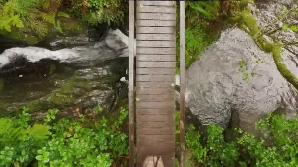 Над повітряним видом молода жінка йде дерев'яним мостом над струмковим лісом 4K — стокове відео