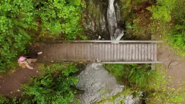 Над повітрям щаслива туристична жінка, що йде дерев'яним мостом у дощовому лісі 4K — стокове відео