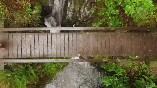 Top down aerial traveler woman hiking by wooden bridge over creek forest 4K USA — стокове відео
