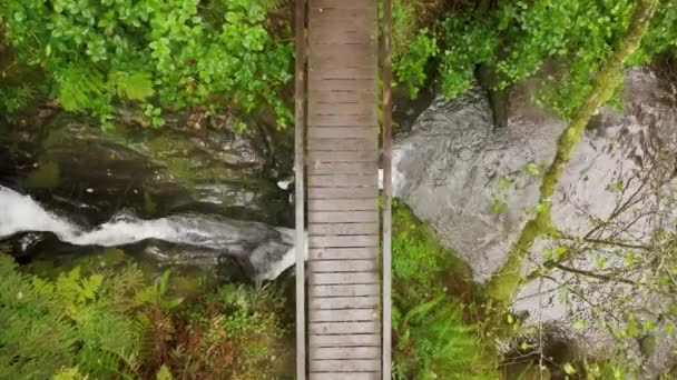 Вертикальний міст зверху вниз у дощовому лісі з водоспадом на зелених пагорбах, 4K — стокове відео