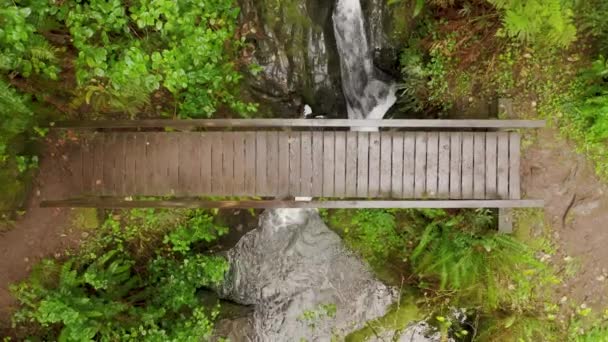 Мальовничий дерев'яний міст над гірським річковим струмком, зверху вниз міст у дощовому лісі — стокове відео