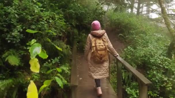 Mujer vista trasera con mochila turística caminando por la selva verde en el día lluvioso — Vídeos de Stock