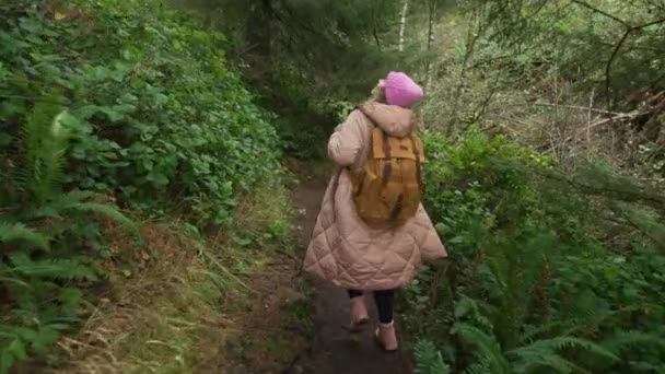 Femme voyageuse marchant par le sentier de la nature, concept d'éco-tourisme, mouvement lent — Video