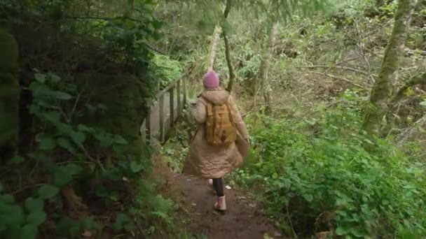 Slow motion woman with backpack hiking by green rain forest on rainy day, USA — Video Stock