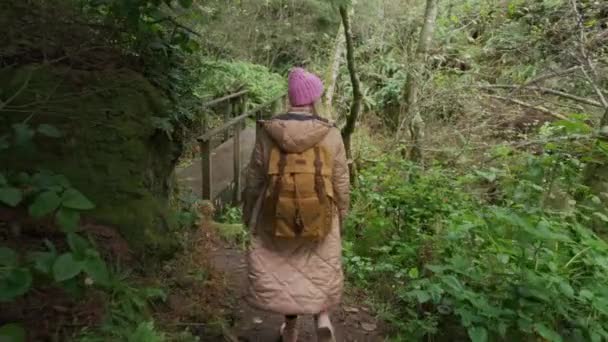 女性に続く赤いカメラ。熱帯雨林を歩くスローモーション旅行者の女性 — ストック動画