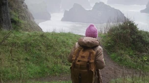 Touristin entspannt sich und blickt auf stürmischen Meeresstrand mit malerischen Felsen USA — Stockvideo