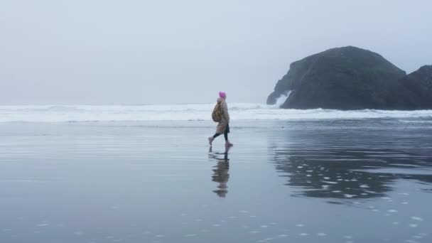美しいシルエットの反射と湿ったビーチの表面を歩く空中女性 — ストック動画