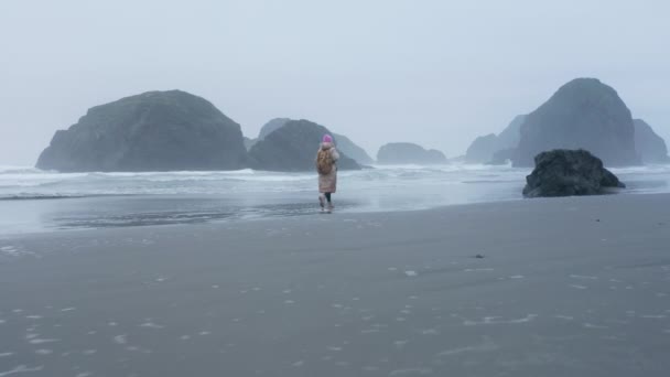 Scenic drone aerial shot of alone attractive woman walking Oregon coat beach — Wideo stockowe