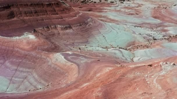 4K Landschaft Ansicht, Wüste Antenne Frau zu Fuß durch bunte rote Wüste Canyon USA — Stockvideo