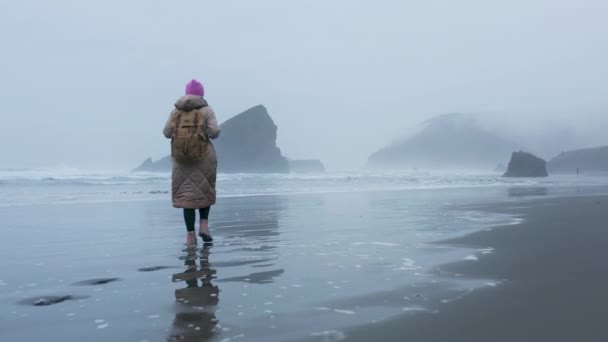 Backpacker turist njuter av naturen, resenär kvinna promenader vid våta havet strand 4K — Stockvideo