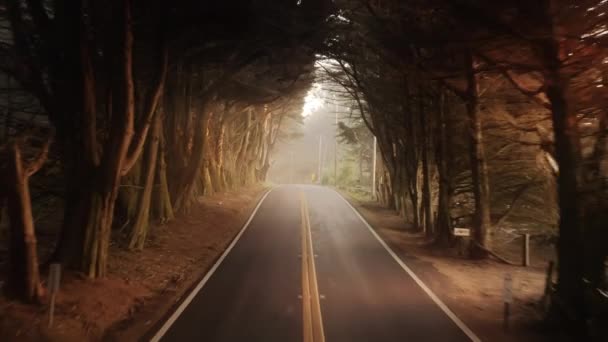 Drone flying back above countryside road in tree tunnel, truck driving straight — Vídeos de Stock