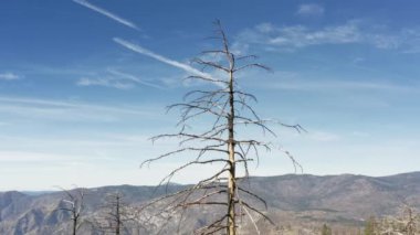 Antik uzun ve kurumuş bitkiler vadiden görülebiliyor.