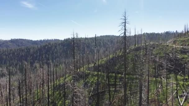 Área todoterreno a lo largo del bosque desnudo en la ladera como se ve desde arriba — Vídeos de Stock