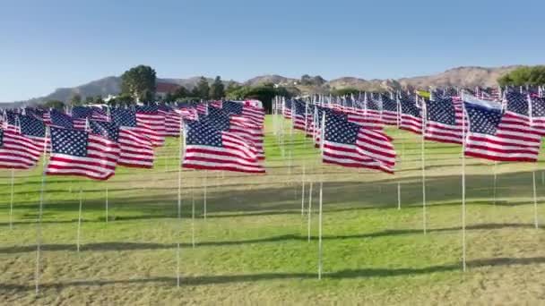 Homenaje tradicional al despliegue masivo de banderas en honor de las víctimas — Vídeos de Stock