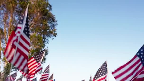 Luchtfoto van de jaarlijkse vlaggengolven langs de pittoreske natuur — Stockvideo