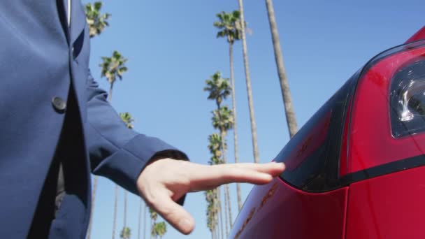 Mans mano inserendo cavo di ricarica nel veicolo elettrico a palme sfondo — Video Stock