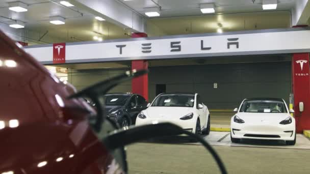 Carga de coche eléctrico en una estación de carga, Primer plano rojo moderno Tesla coche — Vídeo de stock
