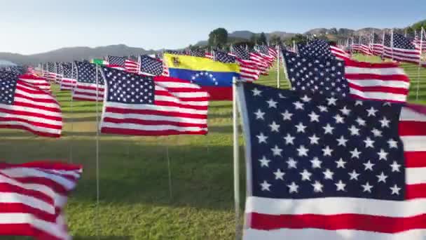 Flygfoto av flaggornas vågor som en hyllning till offren för terrorattacken — Stockvideo