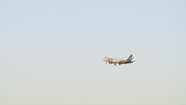 都会の空港に着陸する航空会社の絵のようなシーン — ストック動画