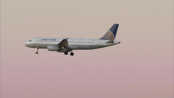 뒤에 그림 같이 아름다운 보라색 하늘을 배경으로 하는 대형 여객기 — 비디오