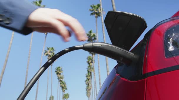 Homme d'affaires finissant la batterie de charge du véhicule électrique moderne aux palmiers verts — Video