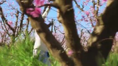 Kız, cömert bahçede güzel pembe çiçeklerin bahar ilhamını seviyor.