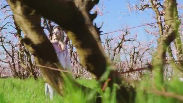 Mulher bonita caminha ao longo de pomares de amendoeiras com prados verdes exuberantes — Vídeo de Stock
