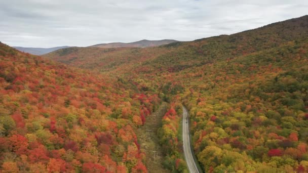 Yoğun yeşillik ve sonbahar ormanları manzaralı dağ yolunda giden arabalar. — Stok video