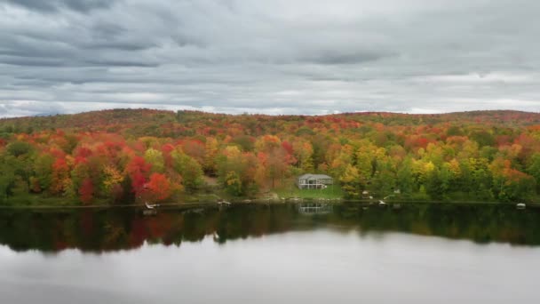 Облачный дождливый день на озере с осенним лесом, золотой и оранжевой листвой — стоковое видео