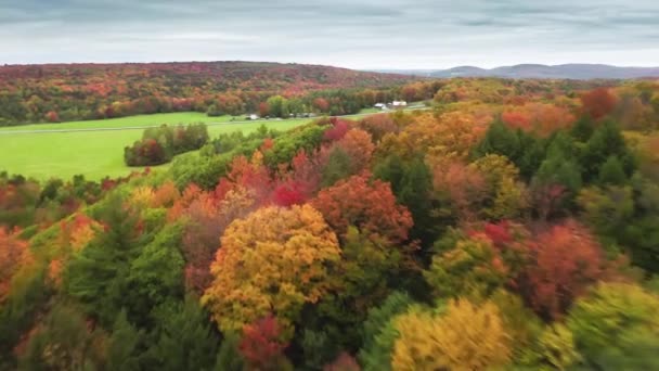 Strzał z powietrza nad wierzchołkami kolorowych spadających drzew — Wideo stockowe