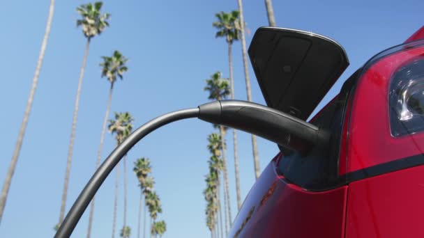 Primer plano mujer irreconocible desconectar coche eléctrico de la estación de carga — Vídeos de Stock