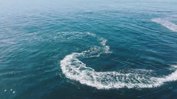 Vista aérea de personas en embarcaciones en el océano — Vídeos de Stock