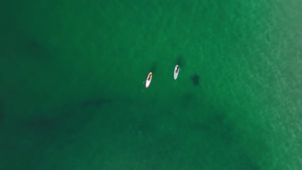 Lidé plovoucí na zelenavých vodách oceánu na svých paddleboardech — Stock video