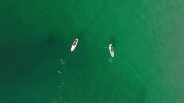 Відеозапис дронів показує туристам, які насолоджуються активним відпочинком у відкритому морі — стокове відео