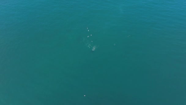 Imágenes de drones de paisaje acuático azul cristalino con ondas contra la superficie — Vídeos de Stock