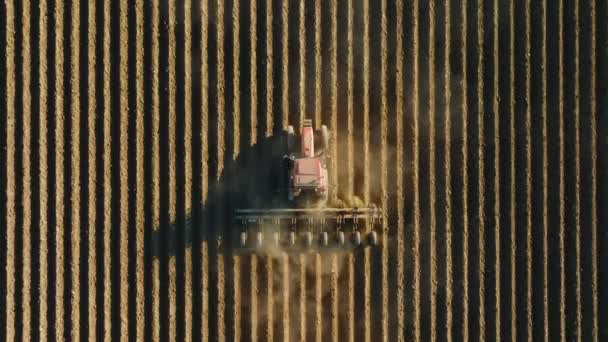 Images par drone de la récolte industrielle de tracteurs dans le domaine agricole — Video