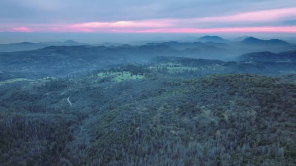 I filmati dei droni mostrano l'area boschiva del Parco Nazionale di Sequoia — Video Stock