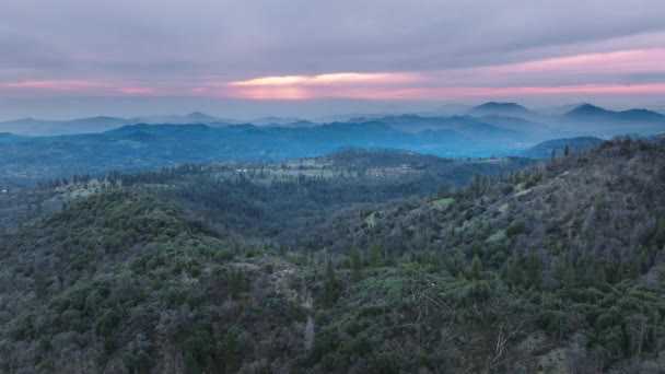 Friedliche und ruhige Wildnis des Sequoia National Forest von oben gesehen — Stockvideo