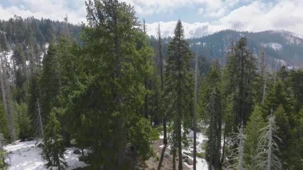 Enorme terreno de naturaleza salvaje con laderas nevadas como se ve desde arriba — Vídeos de Stock