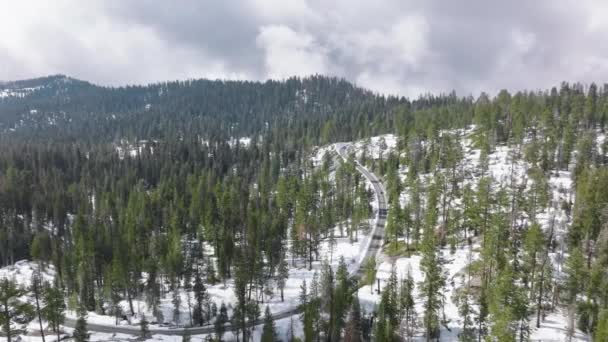 Sequoia Nemzeti Park tele gyönyörű kilátással és felejthetetlen túrák — Stock videók