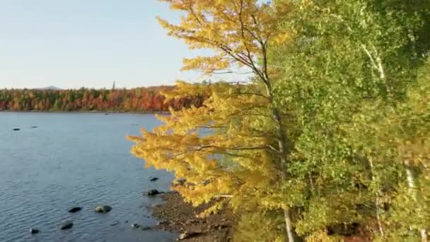 Drone filmato del paesaggio naturale con caduta colori stagionali — Video Stock