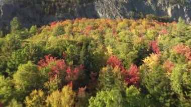 Kayalık dağın etrafındaki renkli yaprakların doğal doğal güzelliğinin en üst görüntüsü.