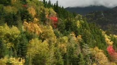 Arkaplanda renkli sonbahar yapraklarına ve ufuk çizgisine yansıyan güneş ışınları