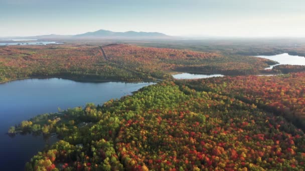 Splendidi laghi cristallini, circondati da alberi dal fogliame rigoglioso e vivido — Video Stock