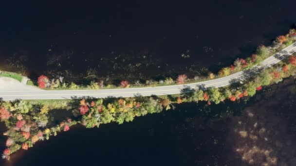 Images aériennes du paysage naturel spectaculaire d'automne avec des forêts denses — Video