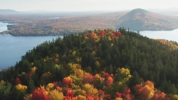 Scenario drammatico di bellissimo paesaggio autunnale con fogliame colorato — Video Stock