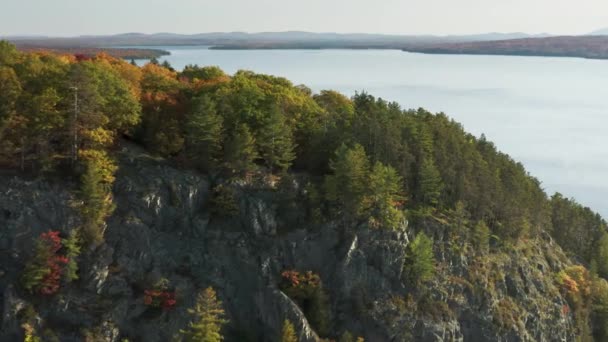 Drone bilder av en skog med röda, gula, gröna och orange blad på ett träd — Stockvideo