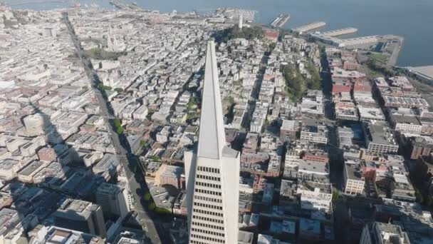 Drone séquence de beau quartier résidentiel avec baie océanique derrière — Video