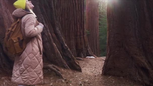 Slow motion reisbeelden vrouw op reis of natuur avontuur in Sequoia bos — Stockvideo